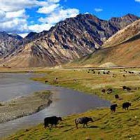 Chadar trek in Zanskar Tour
