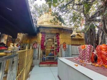 8 Days Himachal - Char Deviya Tour Package