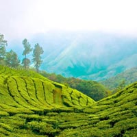 Kerala Holiday Tour package 7D 6N