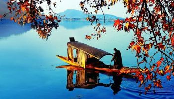 Tulip Season Special Package 4N - 5D