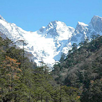 Gangtok - Pelling - Lachung - Darjeeling Tour Package 7nights