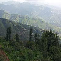 Monsoon Magic in Fagu Valley - Shimla Package