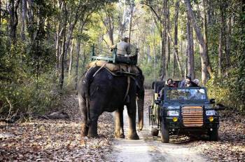 4 Night 5 Days Jabalpur - Kanha - Bargi Dam Tour