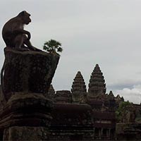 Angkor Wat Tour