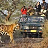 Rajasthan Wildlife Safari Tour