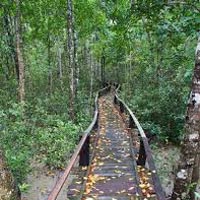 Kolkata - Sundarbans Tour