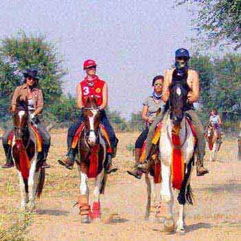 Horse Safari in Rajasthan Tour