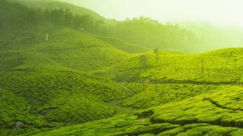 Ooty Package - 2 Nights 3 Days