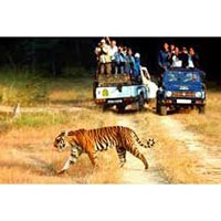 Golden Triangle Tour with a spice of Wildlife