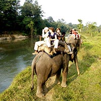 Bardia Jungle Safari Tour