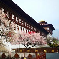 A Week In Bhutan Tour