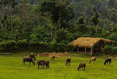 3 Nights and 4 Days Package Hassan and Coorg Tour