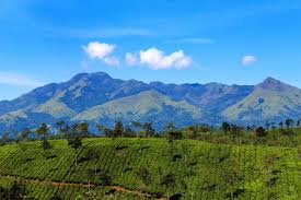 5 Nights and 6 Days Package – Mysore, Wayanad and Ooty Tour