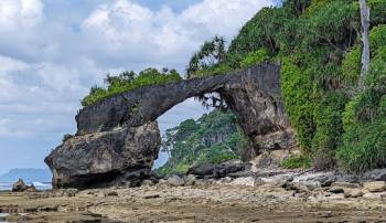 Andaman Fun filled - 6N7D