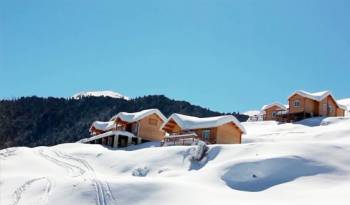 Auli Summer and Winter Camps Tour
