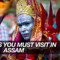 Wild Life Tour Package Assam