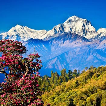 Kathmandu - Pokhara - Chitwan Tour
