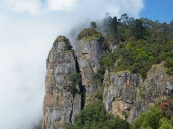 Bengaluru - Kodaikanal & Back Tour