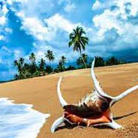 Blissful Andaman Package