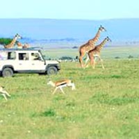 3 Days Maasai Mara Safari Tour