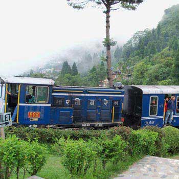 Toy Train Tour Package