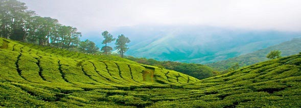 Cheap Kerala Packages
