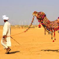 Stunning Rajasthan Honeymoon Package