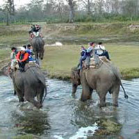 Wildlife safari in Gujarat Tour