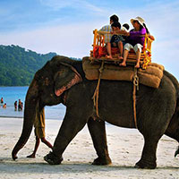 Andaman Beach Special Tour