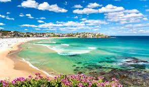 Cricket Fan Australia Tour all Inclusive