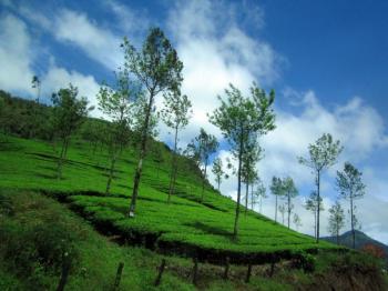 Kerala Hill Station Package 5 Days