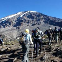 Kilimanjaro and Wildlife Safari Tour