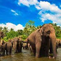 Best of Sri Lanka Holidays Package