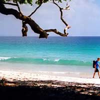 Baratang Island Tour Package in Andaman
