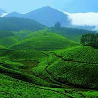 Soul Mate in Kerala Tour