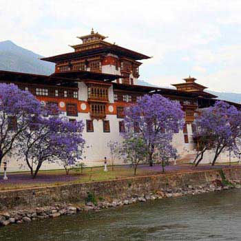 Western Bhutan In A Week 7 Days/6 Nights Tour