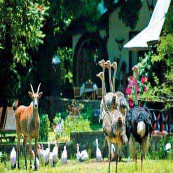 Birdwatching Tours Package