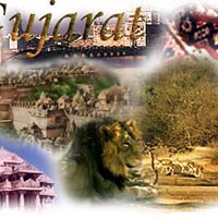 Amazing Gujrat - Spiritual with Wildlife Journey Tour