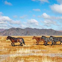 Russia - Trans Siberia - Mongolia Tour