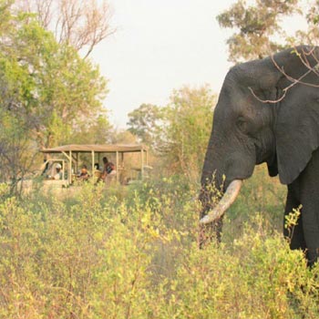 7 Days 6 Nights Livingstone – Victoria Falls, Zambia, and Chobe National Park and Okavango Delta T