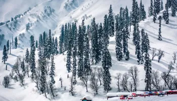 Shimla Tour Package 4 Days - 3 Nights From Shimla