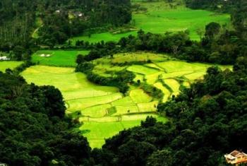 Blissful Days in Coorg Tour