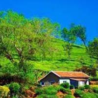 Bandipur and Ooty Tour