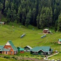 Kashmir Honeymoon Package (4N/5 Days)