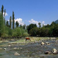 Beauty Of Kashmir Himalaya (7N/8 Days) Tour