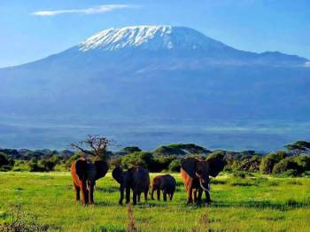 3 Days Amboseli Tour