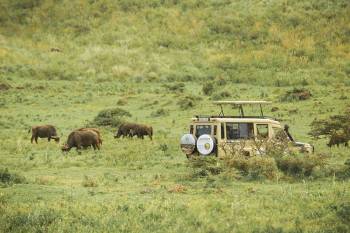 2 Days Safari To Lake Manyara - Ngorongoro Crater Tour