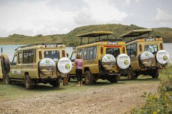 3 Days Safari To Lake Manyara - Ngorongoro Crater - Tarangire Tour