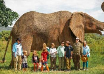 7 Days Great Migration Western Corridor Tour