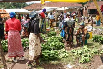 Marangu Cultural Tourism Day Trip